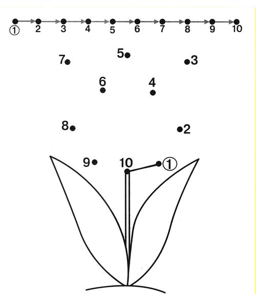 Attachment Nối số thành hình.jpg